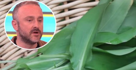 SREMUŠ SNIŽAVA HOLESTEROL, ČISTI KRVNE SUDOVE I UBIJA KANDIDU: Travar Momčilo otkrio 3 najefikasnija recepta