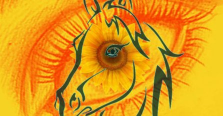 Šta ste prvo uočili na ovoj slici? Evo što to otkriva o vama!