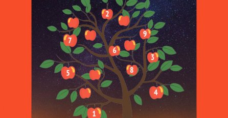 OVO JE DRVO ŽELJA: Izaberi 1 broj  i saznaj da li će ti se želja ostvariti - SRETNO!