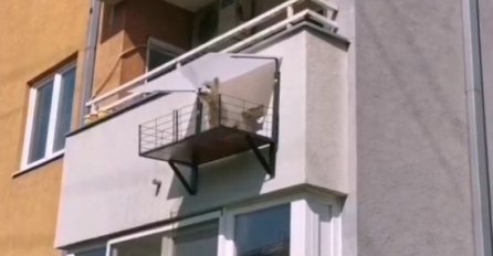 PRIZOR IZ BEOGRADA ODUŠEVIO CIJELI REGION: Evo šta je napravio na svojoj terasi, SVI MU SE DIVE (FOTO)