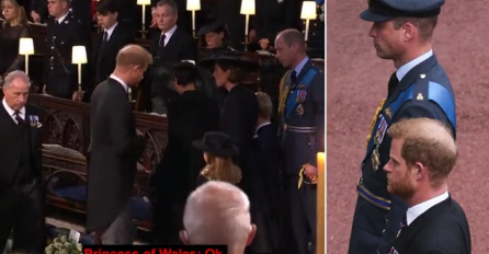 STRUČNJAK ZA ČITANJE S USANA OTKRIO ŠTA JE WILLIAM REKAO HARRIJU KADA JE KRENUO DA SJEDNE: Pogledajte reakcjiu Kate (VIDEO)