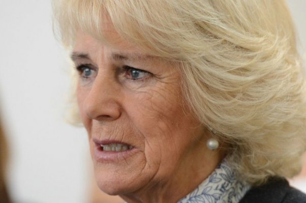 78934-kamila-parker-ff