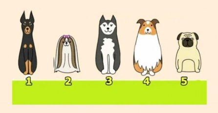 ODABERITE PSA KOJEG BISTE VOLJELI IMATI: Vaš odgovor otkriva nešto bitno o vama, PROVJERITE ŠTA