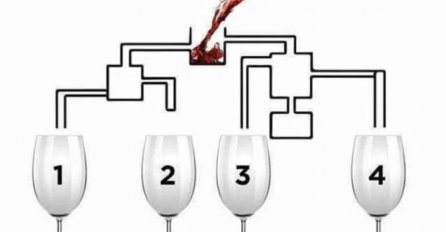 KOJA ČAŠA ĆE SE PRVA NAPUNITI: Većina pogrešno odgovori, A VI?