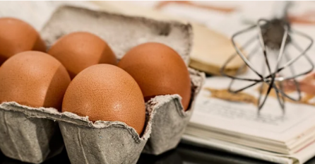 ČUVATE KARTONSKE KUTIJE OD JAJA? Da znate koliko je to OPASNO, više nikada ne biste to radili! 