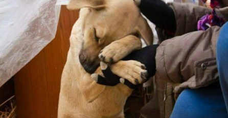 OTAPA I NAJTVRĐA SRCA: Vlasnik usvojio psa, njegova reakcija RASPLAKALA je mnoge (video)