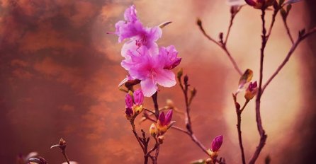 SEDMIČNI HOROSKOP OD 3. DO 9. OKTOBRA: Ovo su tri najsretnija znaka- blago vama ako ste to vi