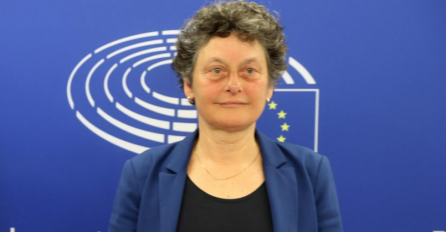 Strik: Pozdravljam rezultate izbora u BiH, Schmidt zakomplikovao proces