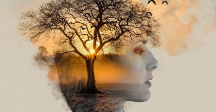 TEST - KOJI VAŽAN KORAK VAS ČEKA U ŽIVOTU PRIJE 2023. GODINE: Da li ste na slici prvo vidjeli ženu, drvo, pticu ili Sunce?