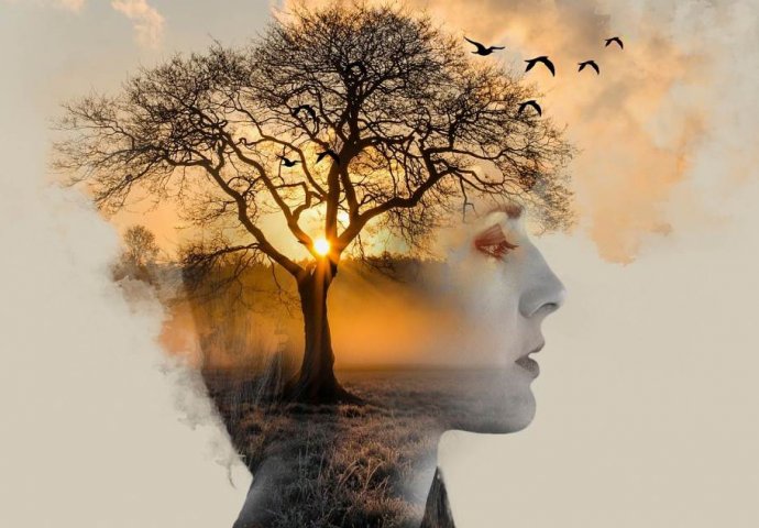 TEST - KOJI VAŽAN KORAK VAS ČEKA U ŽIVOTU PRIJE 2023. GODINE: Da li ste na slici prvo vidjeli ženu, drvo, pticu ili Sunce?