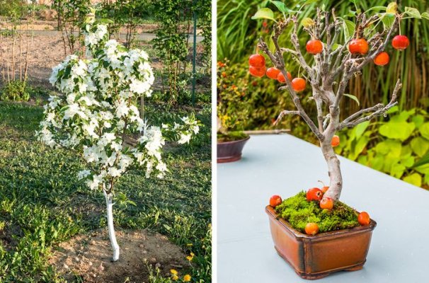 41947c5e4b96c0ce7682a94061