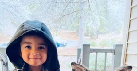 Dječak otišao u šumu i vratio se sa novim "neobičnim" prijateljem: Majka nije mogla da vjeruje svojim očima (FOTO)