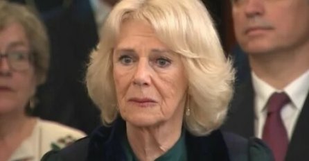 NOVA DRAMA NA DVORU! PRINC WILLIAM ODLUČNO ODUZEO KAMILI VAŽNU ULOGU: Želi da zaštiti djecu