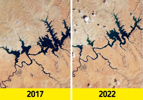 231d3651e7a9403ed734512dce