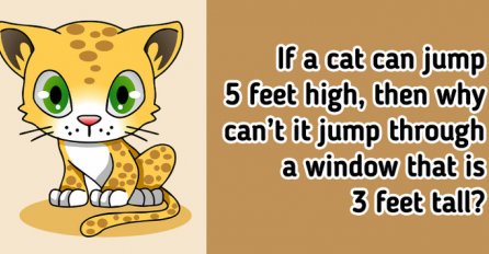 ZAGONETKA: Zašto mačka ne može skočiti kroz prozor koji je visok tri stope