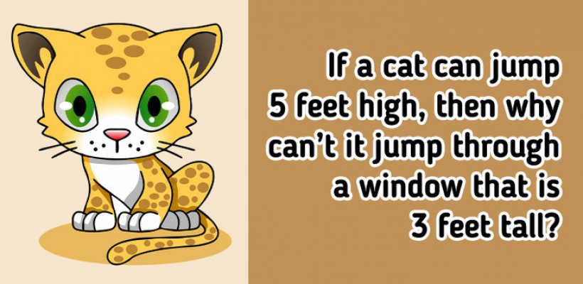 9feb2650238ce239f2e8d0f34c