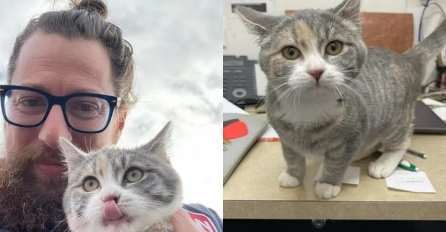 Mačka sa ulice uskočila čovjeku u naručje i ODLUČILA DA GA NE NAPUŠTA (VIDEO)