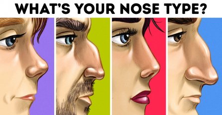 POGLEDAJTE SLIKU I RECITE NAM - KOJI JE OBLIK VAŠEG NOSA: Evo šta to govori o vama