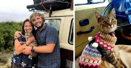 Par je u Meksiku ostao godinu dana jer nisu mogli ostaviti spašenu mačku
