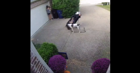 MAJKA JE OKRENULA LEĐA SVOJOJ DJEVOJČICI NA SAMO NEKOLIKO SEKUNDI: Nije mogla sebi doći kad je vidjela šta se desilo (VIDEO)