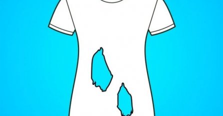 TEST KOJI ĆE VAM PREVARITI MOZAK: Koliko rupa ima ova majica?