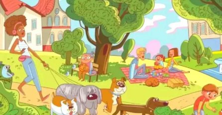 SAMO 2 % LJUDI VIDI SLONA NA OVOJ SLICI: Vidite li ga vi? 