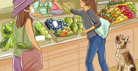 MOŽETE LI PRONAĆI SVE GREŠKE NA OVOJ SLICI: Kladimo se da ih nećete uočiti