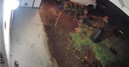 Noćima su slušali neobične zvukove, onda su pogledali snimku kamere i prestravili se (VIDEO)