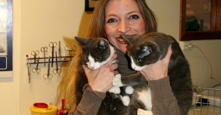 JAKO SU ODGOVORNE I IMAJU NAJBOLJE SRCE – ŽENE KOJE VOLE MAČKE SU POSEBNE IZ 12 RAZLOGA