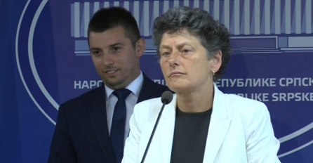 Europarlamentarka Strik: Schmidt mijenja Izborni zakon BiH u korist HDZ-a