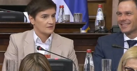 Cijela sala Skupštine Srbije smijala se lapsusu Ane Brnabić