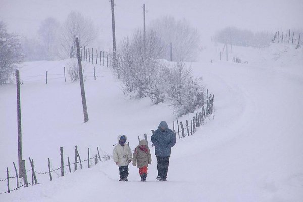 3 HLADNIJA PERIODA ĆE DONIJETI SNIJEG, A EVO KADA STIŽE PRVI: Detaljna vremenska prognoza za predstojeću ZIMU