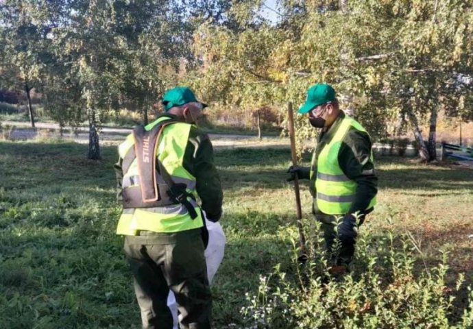 Na nekoliko lokaliteta u Kantonu Sarajevo prisutne veće koncentracije polena ambrozije