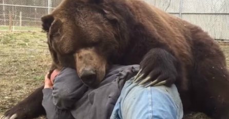 Neobično prijateljstvo: Pogledajte kako 700 kilograma težak medvjed grli i mazi svog prijatelja (VIDEO)