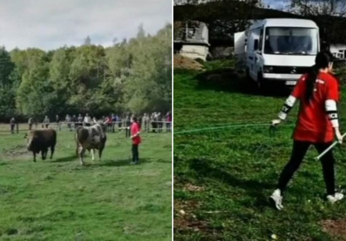 EMINA JE NAJMLAĐA VLASNICA BIKOVA U BIH: Sluša Mitra Mirića, kosi, vozi traktor, a glavna je i na koridama - KAPA DOLE!