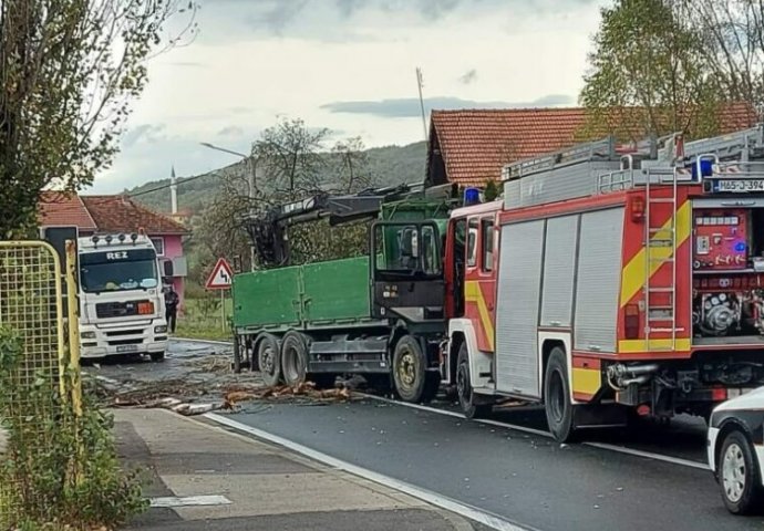 Tragedija u BiH: Drvo palo na kabinu kamiona, vozač poginuo