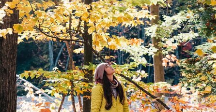 U BiH narednih dana vedro uz naoblaku: za vikend moguća slaba kiša