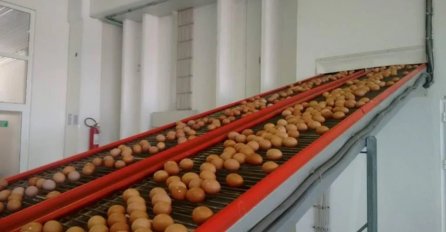 Stanje u ovom sektoru alarmantno: Zbog uvoza propada domaća proizvodnja