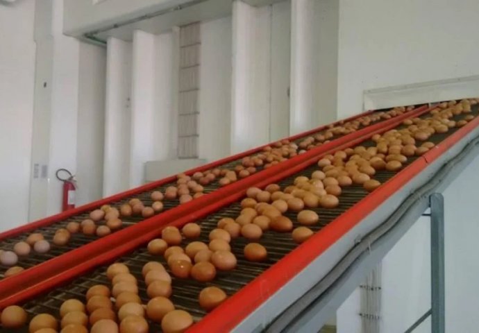 Stanje u ovom sektoru alarmantno: Zbog uvoza propada domaća proizvodnja