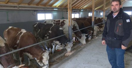 Povećana otkupna cijena mlijeka: Mljekari i dalje broje gubitke