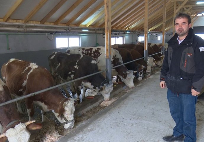 Povećana otkupna cijena mlijeka: Mljekari i dalje broje gubitke