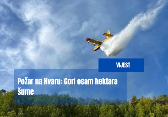 Požar na Hvaru: Gori osam hektara šume, vatrogasci su na terenu, a pomaže im i Kanađanin