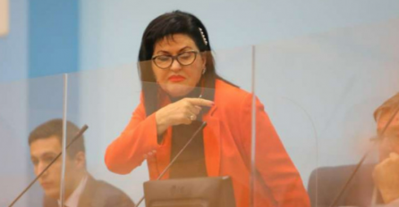 Predsjedavajuća NSRS: "Nemoj mi se ođe obadati", "hajde, momak, sjedi dolje"