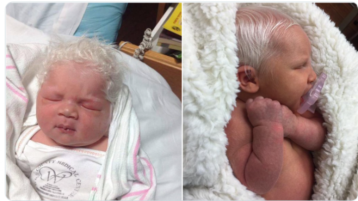 screenshot-2022-11-16-141646