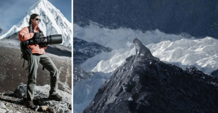 Uslikala je  'mačku duha' na Mount Everestu: Hodala sam 164 kilometara da ga nađem