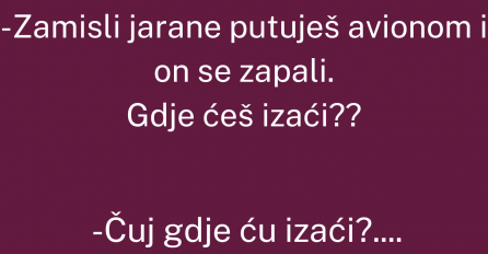 VIC: Pita Mujo Hasu, zamisli jarane putuješ avionom i on se zapali...