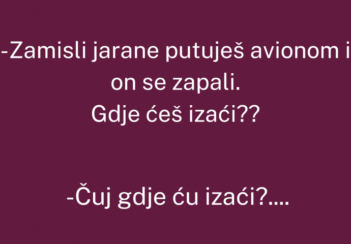 VIC: Pita Mujo Hasu, zamisli jarane putuješ avionom i on se zapali...