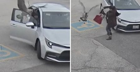 ŽENU NAPALA BIJESNA GUSKA, NIJE MOGLA DA SE ODBRANI: Pomahnitala životinja uletjela za njom u automobil (VIDEO)