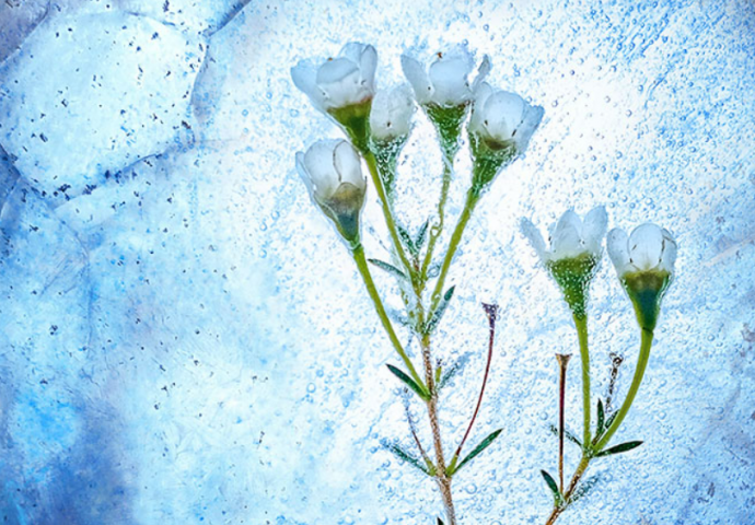 SEDMIČNI HOROSKOP D0 4. DECEMBRA - EVO ŠTA VAS ČEKA: Ovo su tri najsretnija znaka Zodijaka