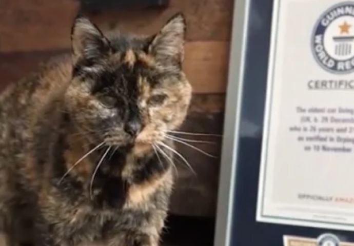 OBOREN SVJETSKI REKORD: Ovo je najstarija mačka na svijetu